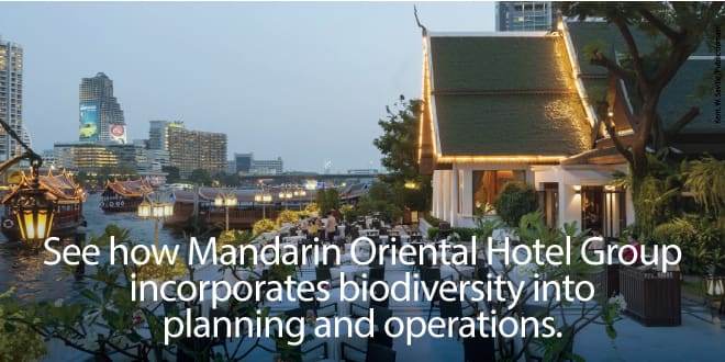 Case study: How Mandarin Oriental Hotel Group promotes biodiversity