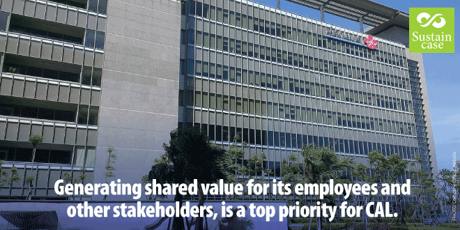 Case study: How CAL creates economic value for its stakeholders ...